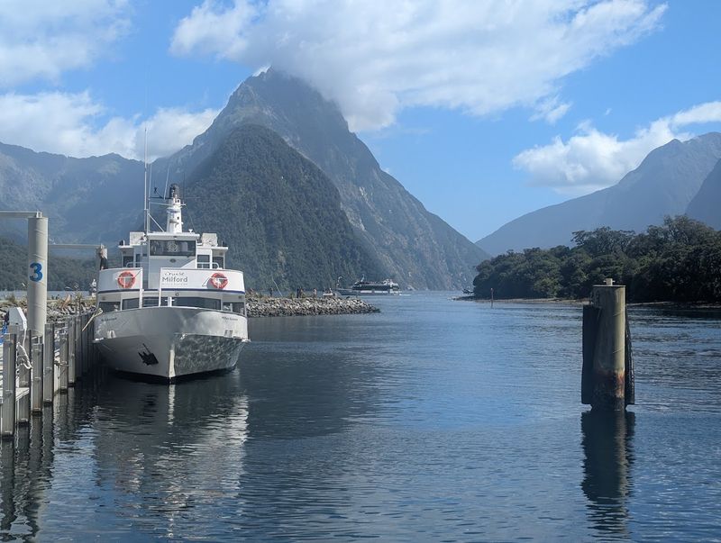 Road Trip Through New Zealand