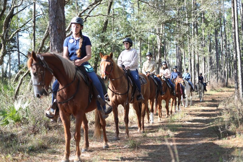Rock Springs Run State Reserve – Sorrento