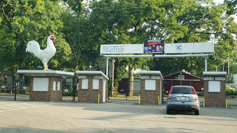 Rocky Rooster: The Fair's Beloved Unofficial Mascot Rocky Rooster: The Fair's Beloved Unofficial Mascot
