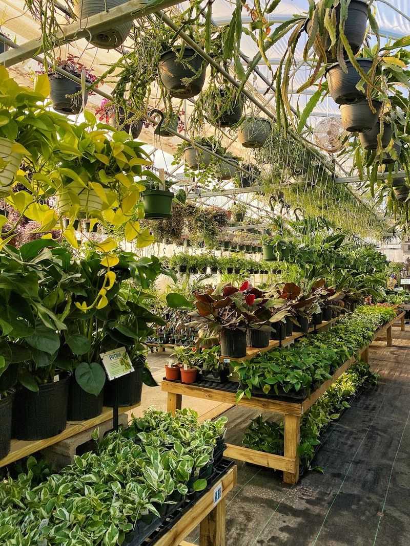 Room After Room of Plants You Have Never Seen Before Room After Room of Plants You Have Never Seen Before