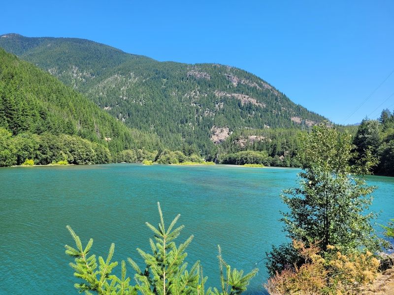 Ross Lake and the Boat Trip Worth Planning