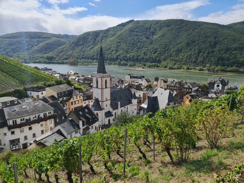 Rüdesheim am Rhein, Hesse Rüdesheim am Rhein, Hesse