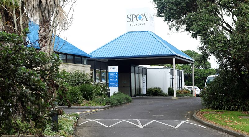 SPCA Auckland, Auckland, New Zealand SPCA Auckland, Auckland, New Zealand