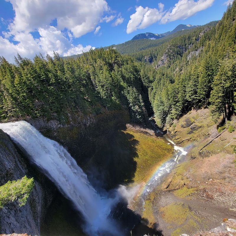 Salt Creek Falls Pullout: The Waterfall Drive Worth Every Mile Salt Creek Falls Pullout: The Waterfall Drive Worth Every Mile