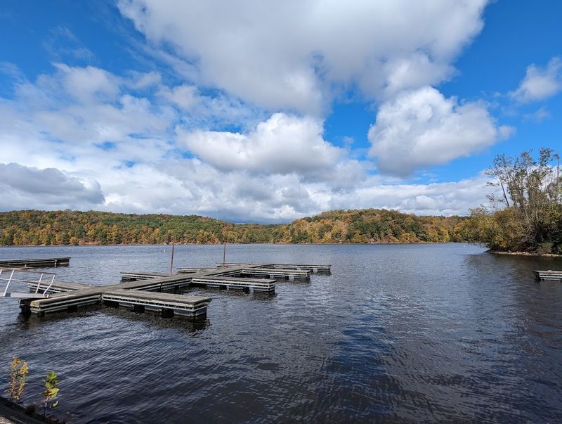 Salt Fork State Park in Lore City