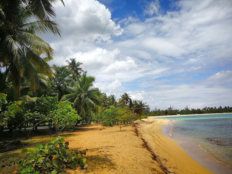 Samaná Region, Dominican Republic