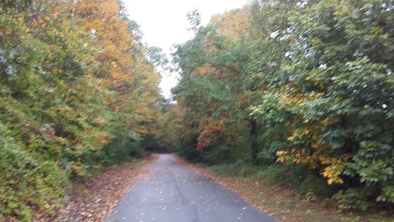 Sandy Hook Multi-Use Path