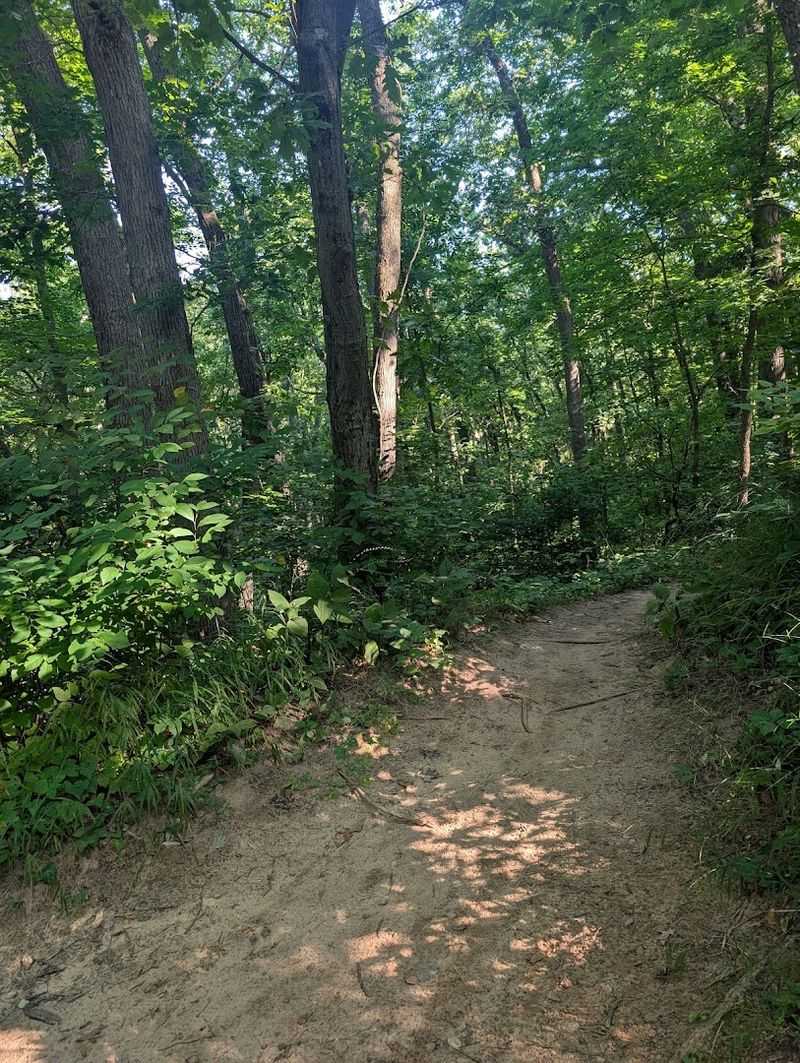 Sandy Sections: The Trail's Most Honest Challenge