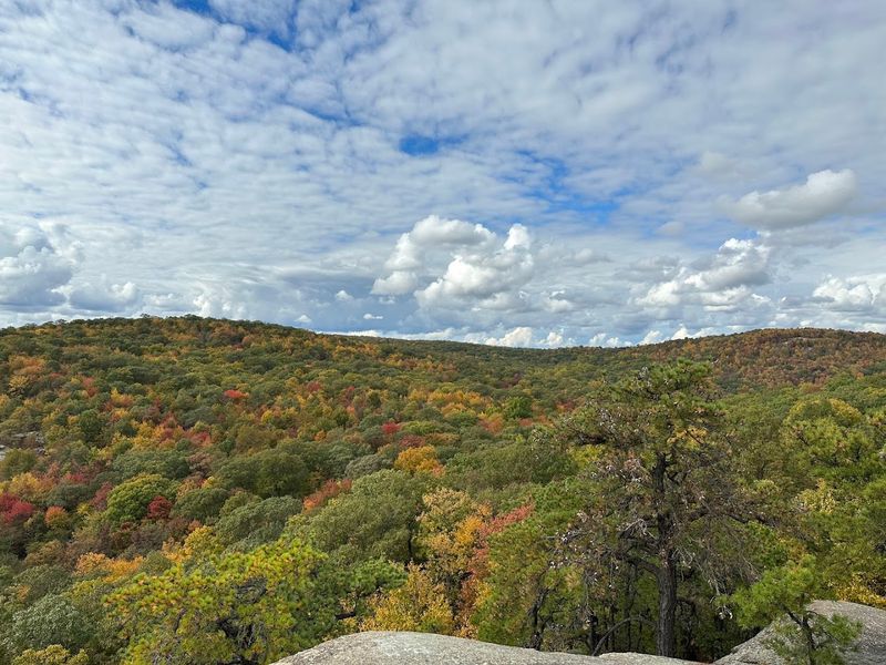 Seasonal Changes That Shift the Whole Experience