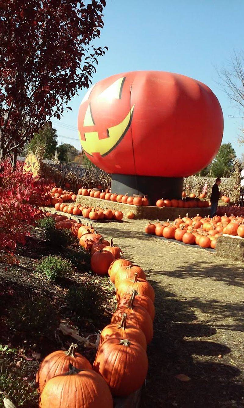 Seasonal Decor That Changes the Whole Vibe