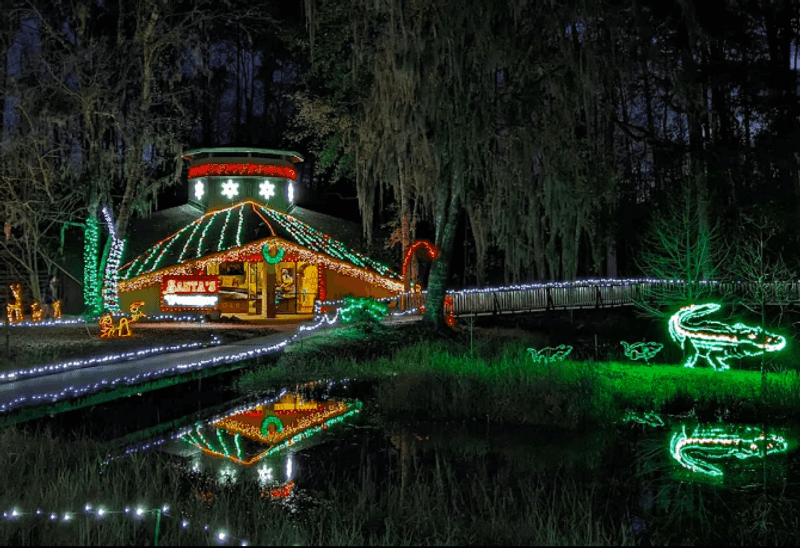 Seasonal Events: Halloween Haunt and Christmas Lights