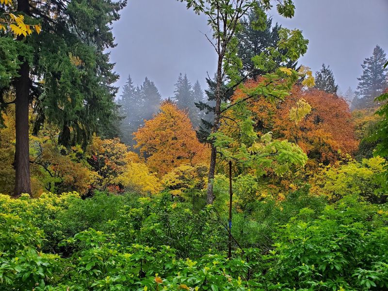 Seasonal Magic: Why Every Visit Feels Brand New