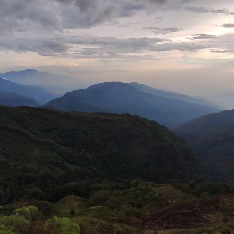 Serranía Del Perijá, Cesar and La Guajira, Colombia