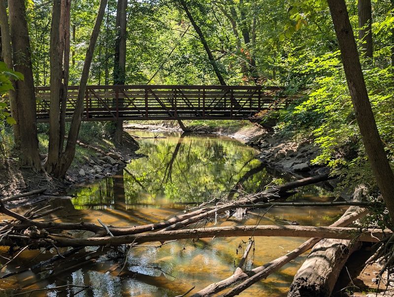 Seven Miles of Trails That Never Feel the Same Twice Seven Miles of Trails That Never Feel the Same Twice