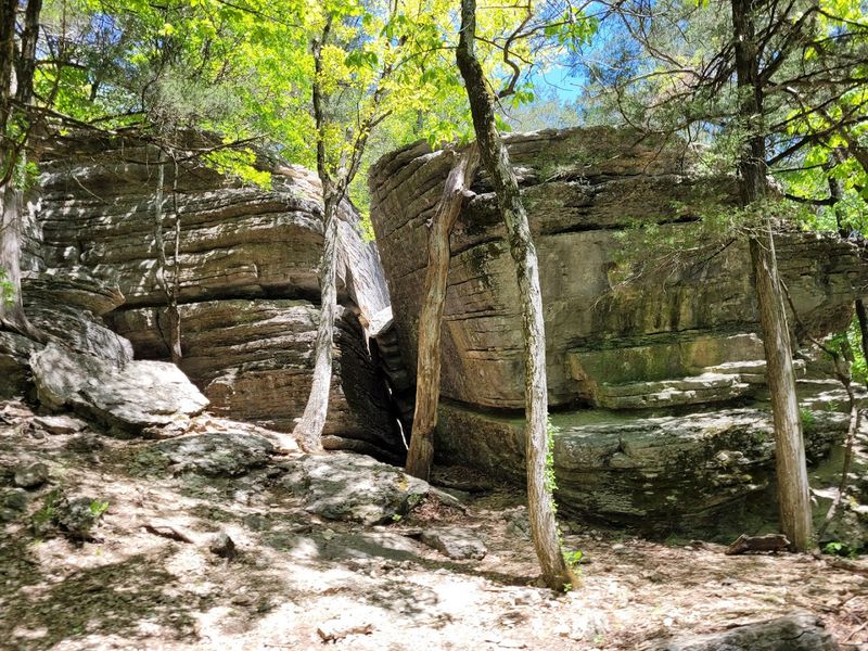 Seven Trails Through Ozark Wilderness Seven Trails Through Ozark Wilderness
