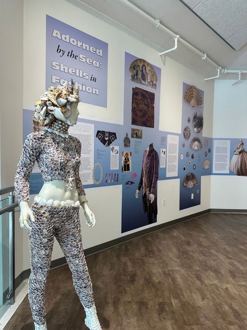 Shells and Culture: When History Gets Personal