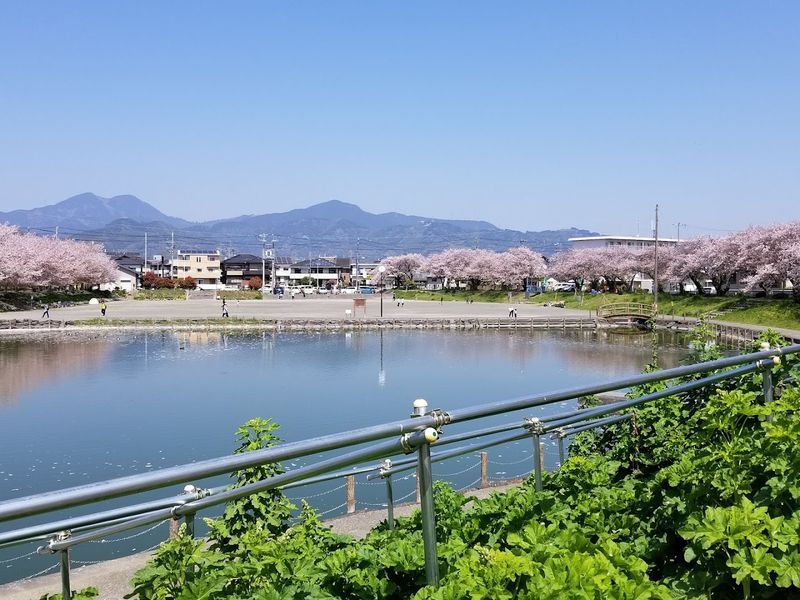 Shizuoka