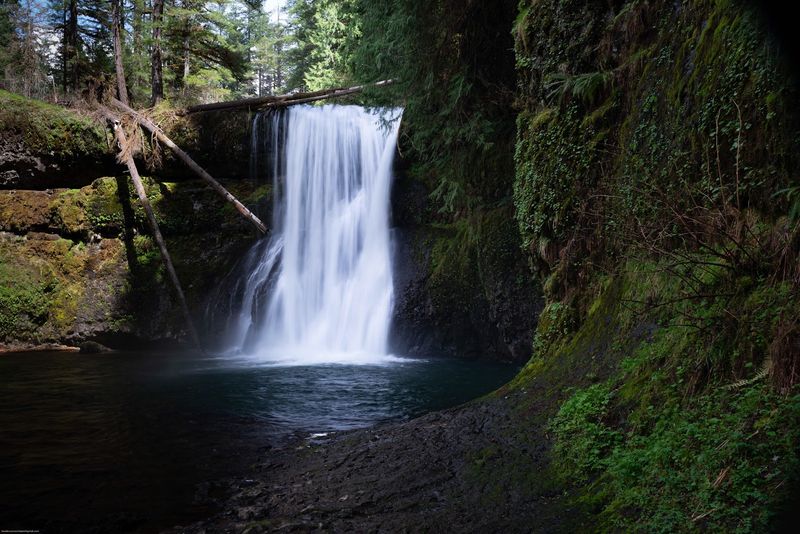 Silver Falls State Park