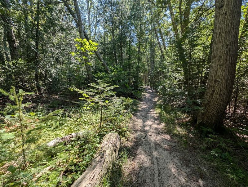 Six Miles of Trails That Take You Through Forests, Wetlands, and History