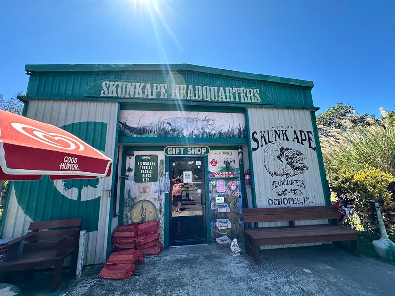 Skunk Ape Research Headquarters - Ochopee Skunk Ape Research Headquarters - Ochopee