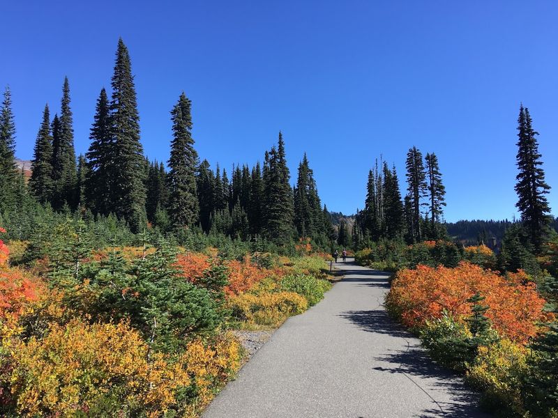 Skyline Trail - Mount Rainier National Park, Washington