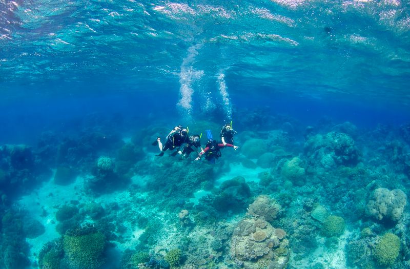 Snorkel the Great Barrier Reef, Australia
