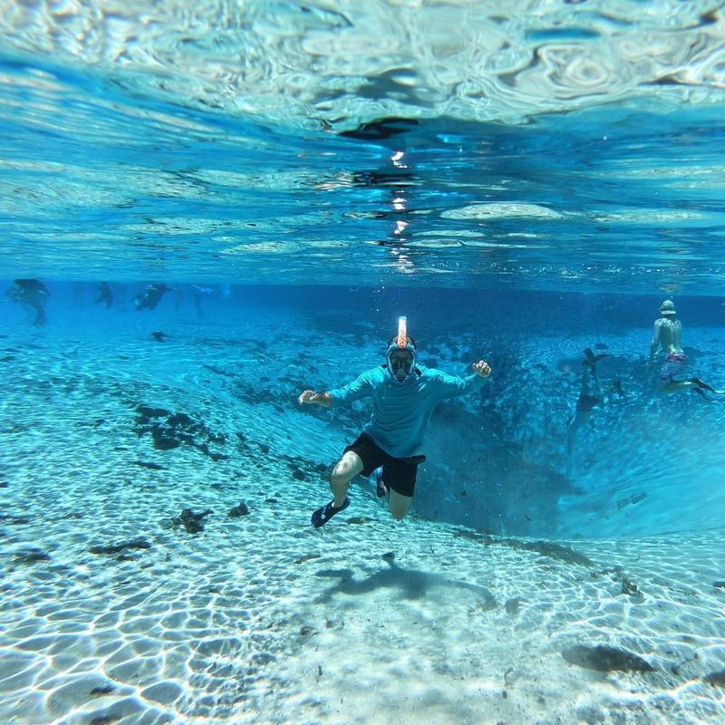 Snorkeling in the Spring Run