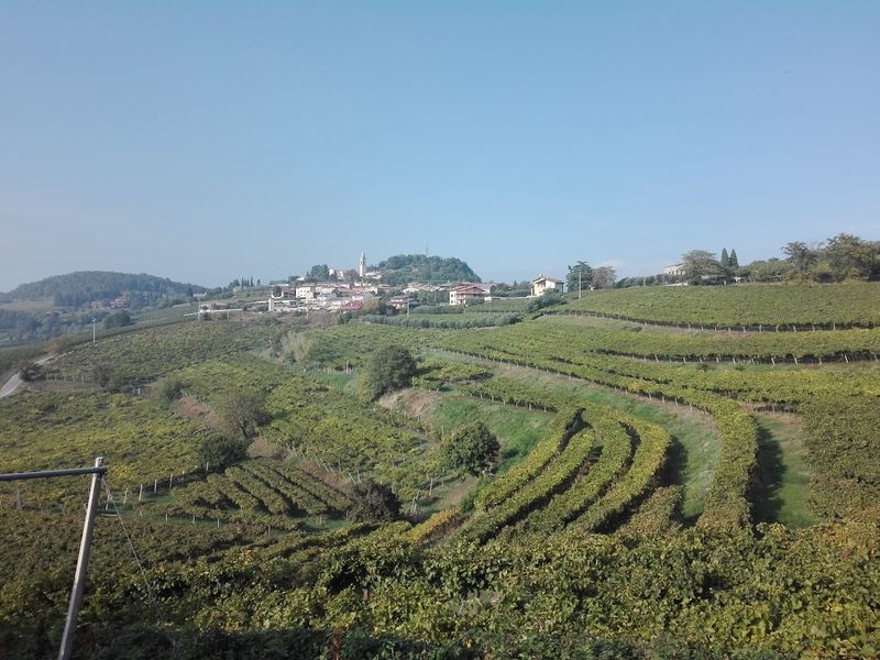 Soave, Veneto Soave, Veneto