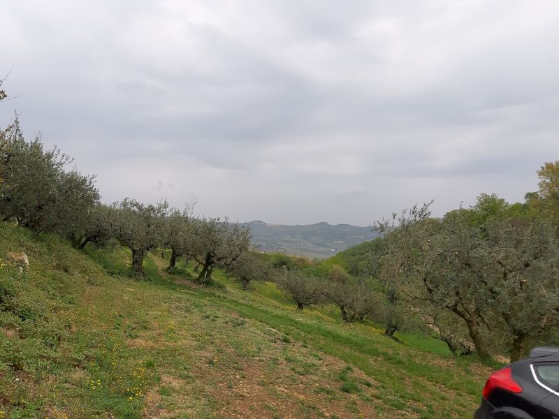 Soave Soave