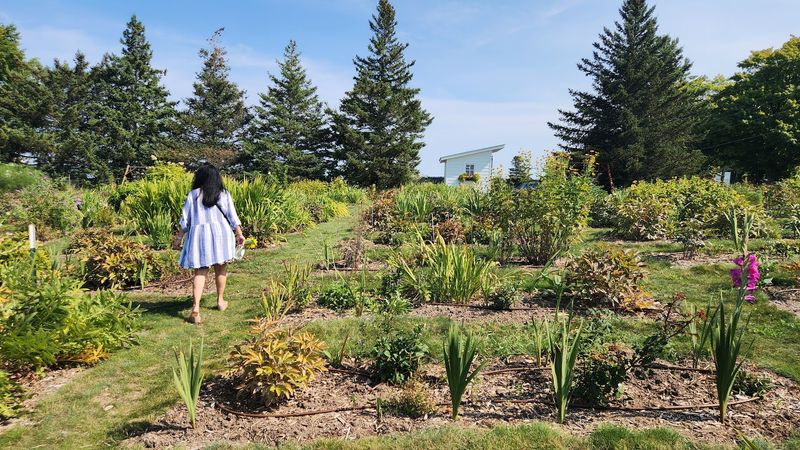 Solo Travelers and the Quiet Magic of Picking Alone