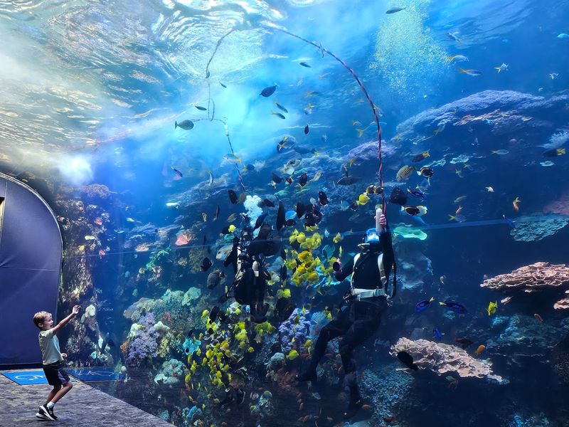 Special Experiences: Snorkel Tours and Behind the Scenes Special Experiences: Snorkel Tours and Behind the Scenes