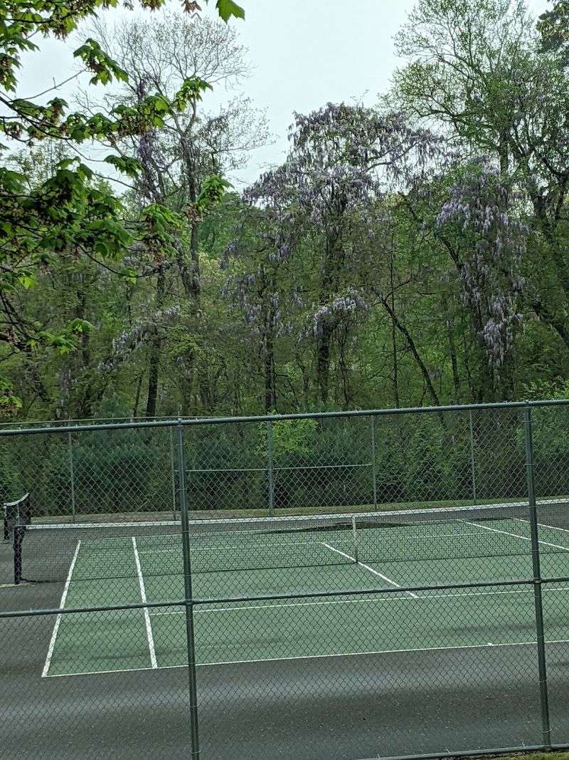 Sports Courts and Fields for Active Days
