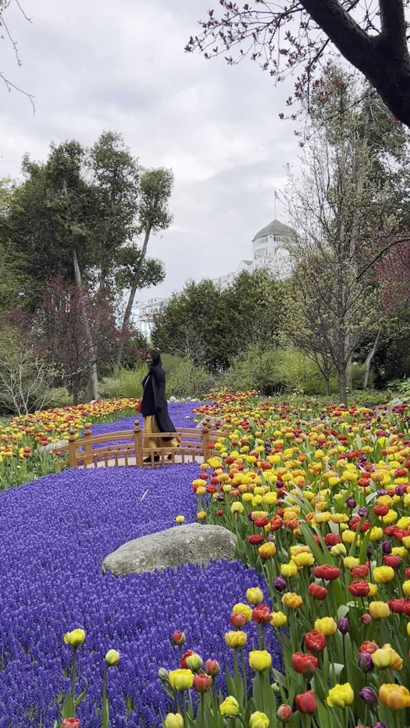 Spring Arrives Here in a Very Big Way