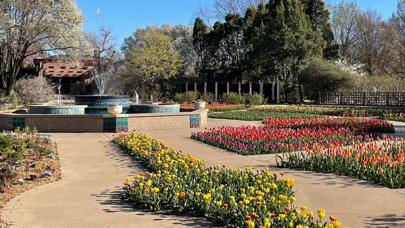 Spring at Its Most Extravagant: 125,000 Daffodils and Tulipfest Spring at Its Most Extravagant: 125,000 Daffodils and Tulipfest