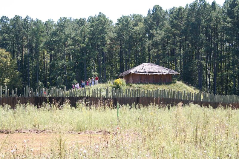 Standing on the Ceremonial Mound Itself