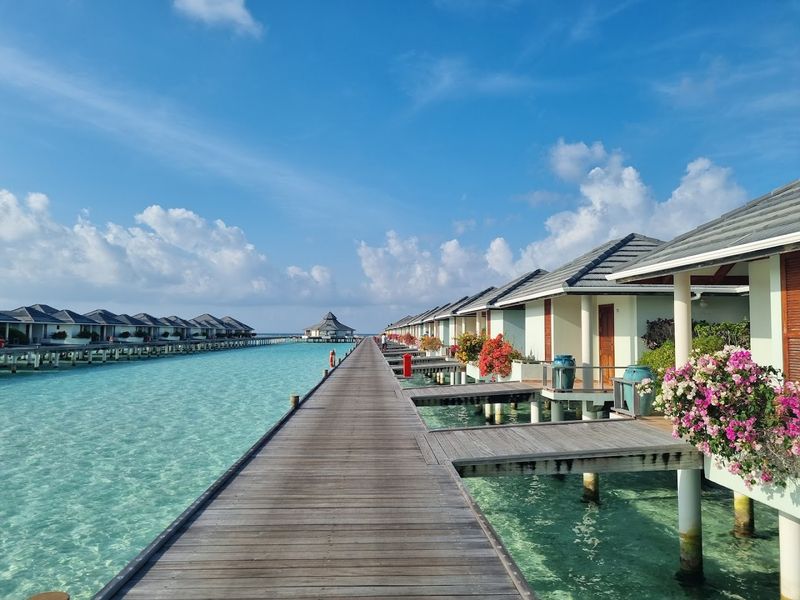 Stay in an Overwater Bungalow in the Maldives