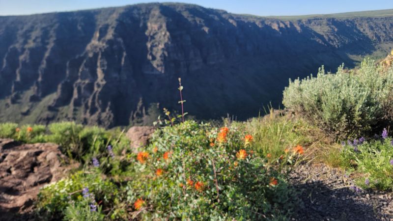 Steens Mountain Loop Road Adventures