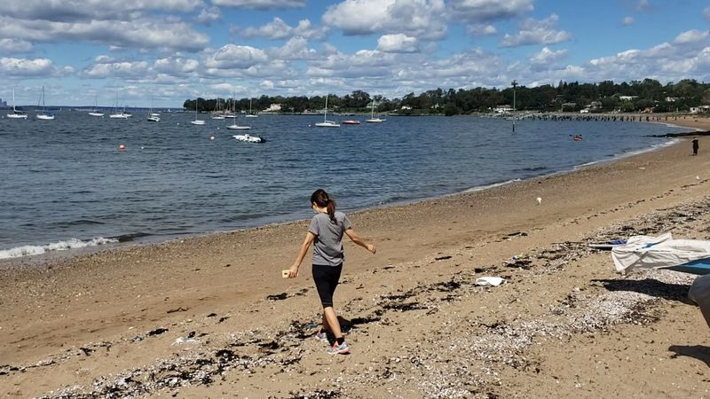 Steppingstone Park Beach — Great Neck