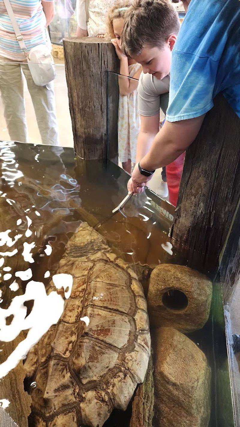 Stingrays, Touch Tanks, and the Feed That Gets Everyone Talking