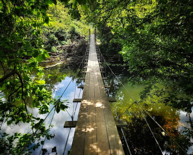 Stony Brook Bridge In Princeton, New Jersey