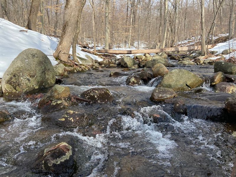 Stream Crossings That Add to the Adventure