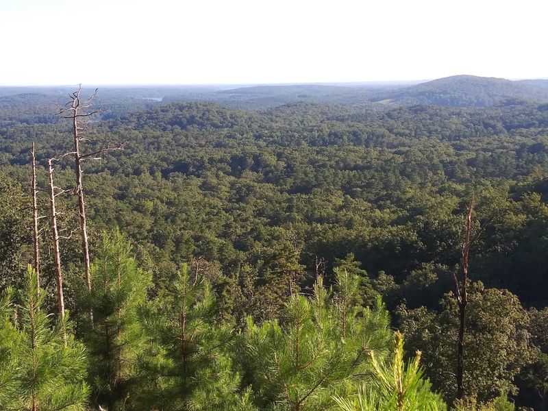Sugarloaf Mountain Trail, Albemarle, North Carolina