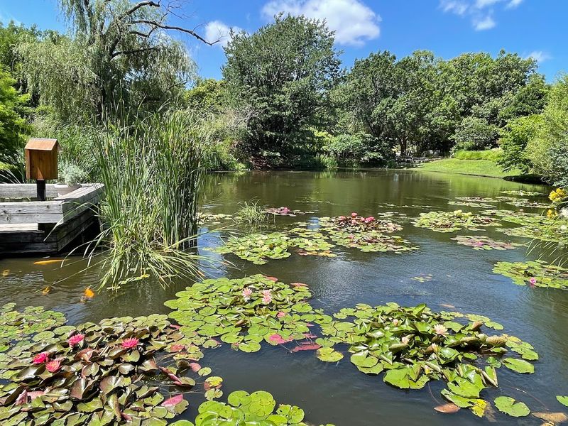 Summer Abundance: Aquatic Plants, Prairie Wildflowers, and 20,000 Annuals Summer Abundance: Aquatic Plants, Prairie Wildflowers, and 20,000 Annuals