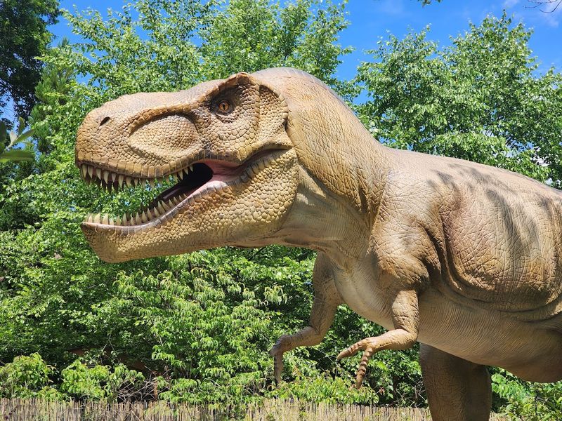 Summer Dino Events and Seasonal Programming That Keeps Things Fresh Summer Dino Events and Seasonal Programming That Keeps Things Fresh