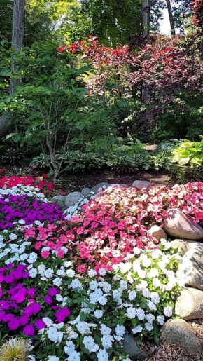 Most Visitors Miss This Hidden Mackinac Island Garden - With 40,000