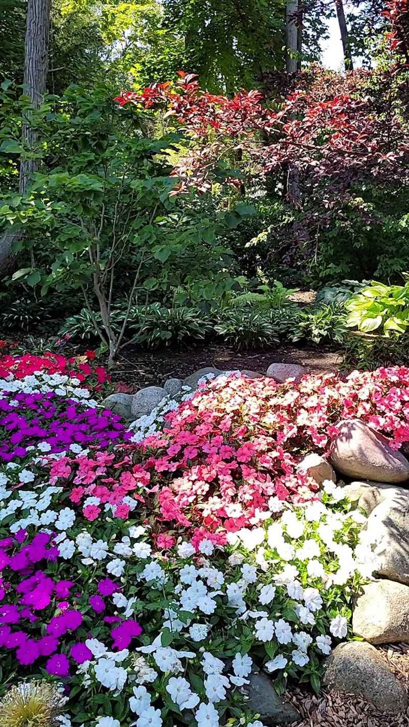 Summer Transforms the Whole Scene