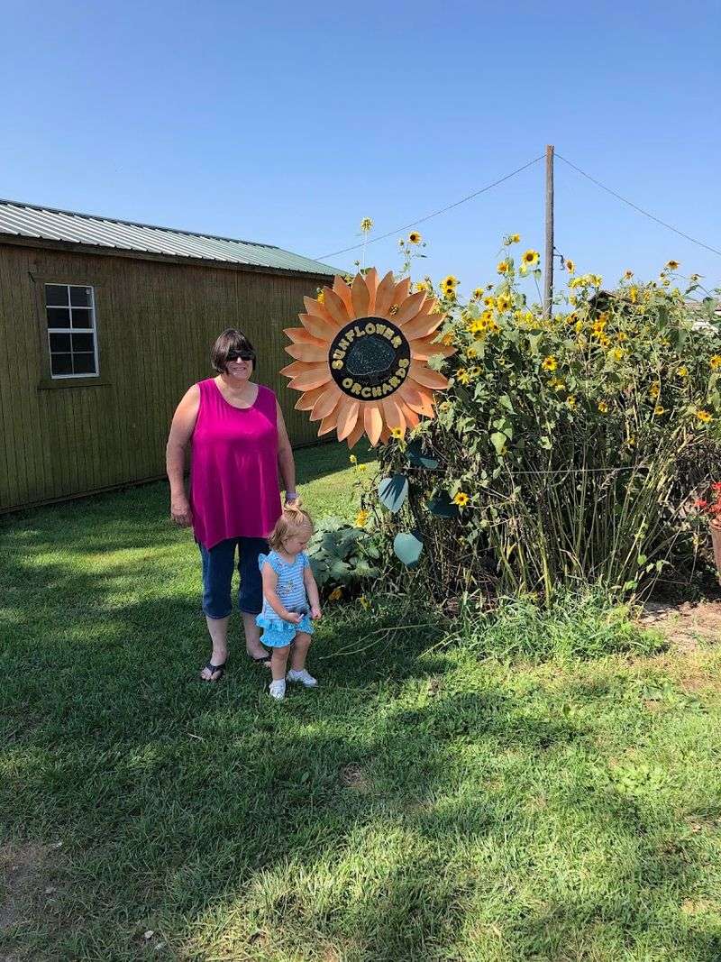 Sunflower Orchards, Paola, Kansas Sunflower Orchards, Paola, Kansas