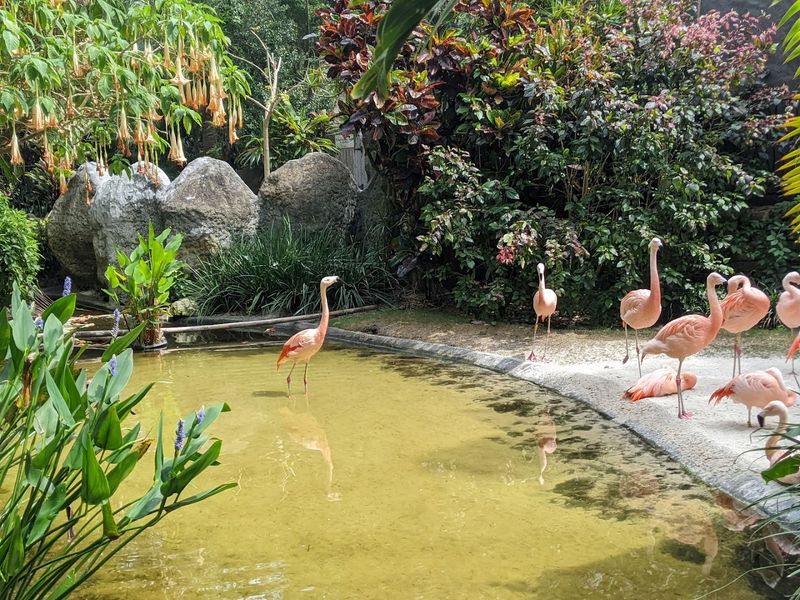 Sunken Gardens - St. Petersburg