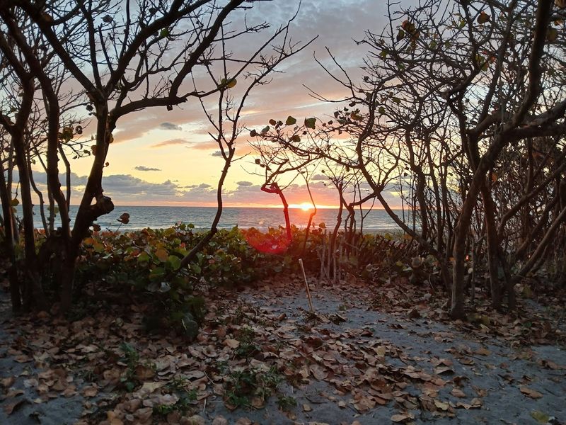 Sunrise and Sunset: The Two Best Times to Be Here