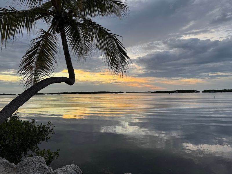 Sunset Views That Stop Conversations Mid-Sentence